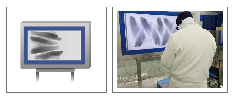 ​Máy dò xương cá bằng tia X – May do xuong ca bang tia X