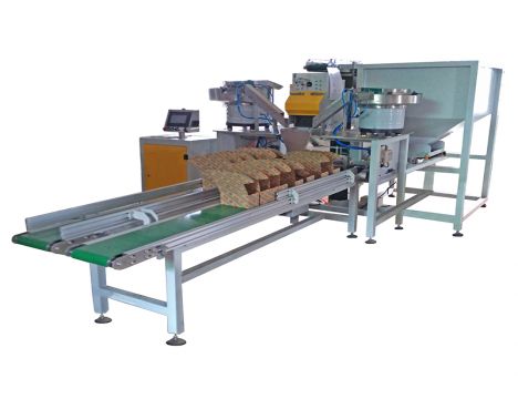 ​Máy đóng gói phụ kiện buggy – May dong goi phu kien buggy