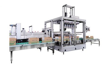 ​​Máy đóng sản phẩm vào thùng carton tự động – May dong san pham vao thung carton tu dong